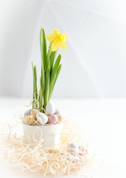 Jarní a velikonoční dekorace přinášejí do vašeho domova svěžest a rozmanitost!