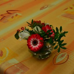 Teflonový ubrus tisk 308147-003