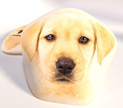 Dětský polštářek Labrador