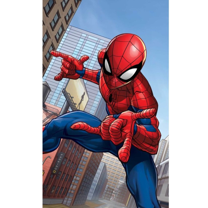 Dětský ručník - Spider-Man - Rozměr ručníku: 30x50