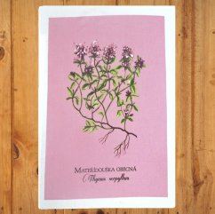 Utěrka Mateřídouška