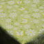 Teflonový ubrus tisk Fancy - Rozměr ubrusu: 75x75