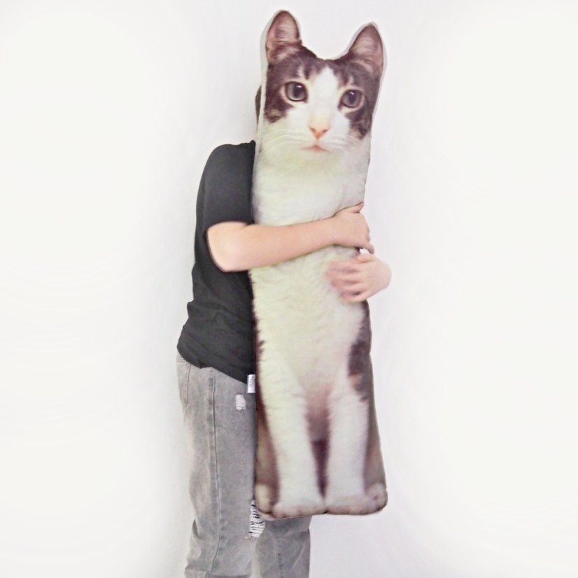 Dlhý vankúš - Mačka