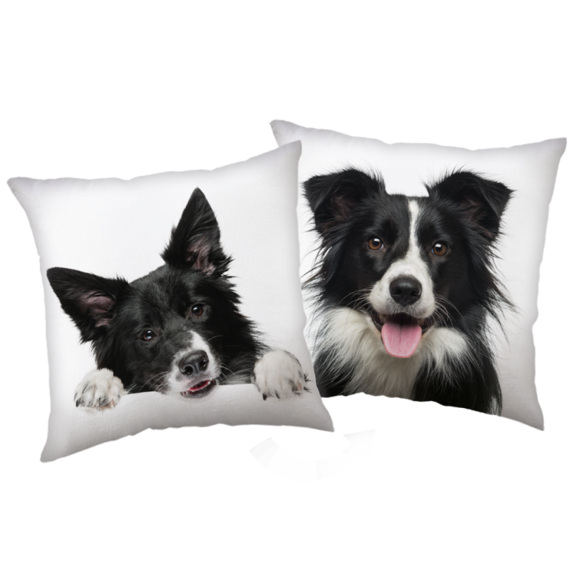 Vankúšik Border kólia