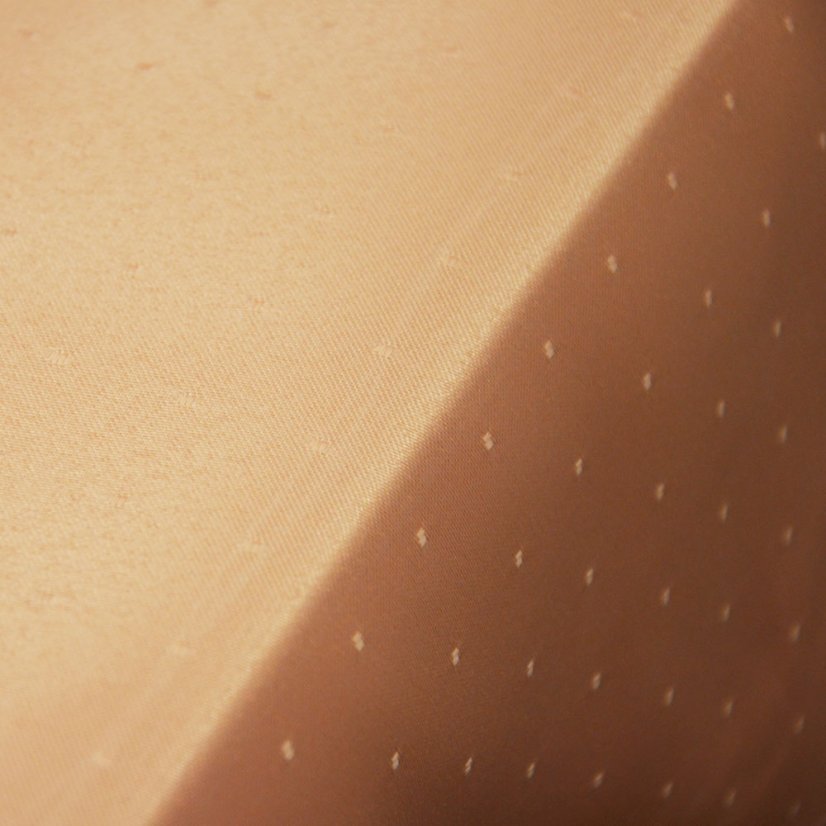 Teflonový ubrus Gastro HT meruňková H-232-2035 - Vyber rozměr: 30x40