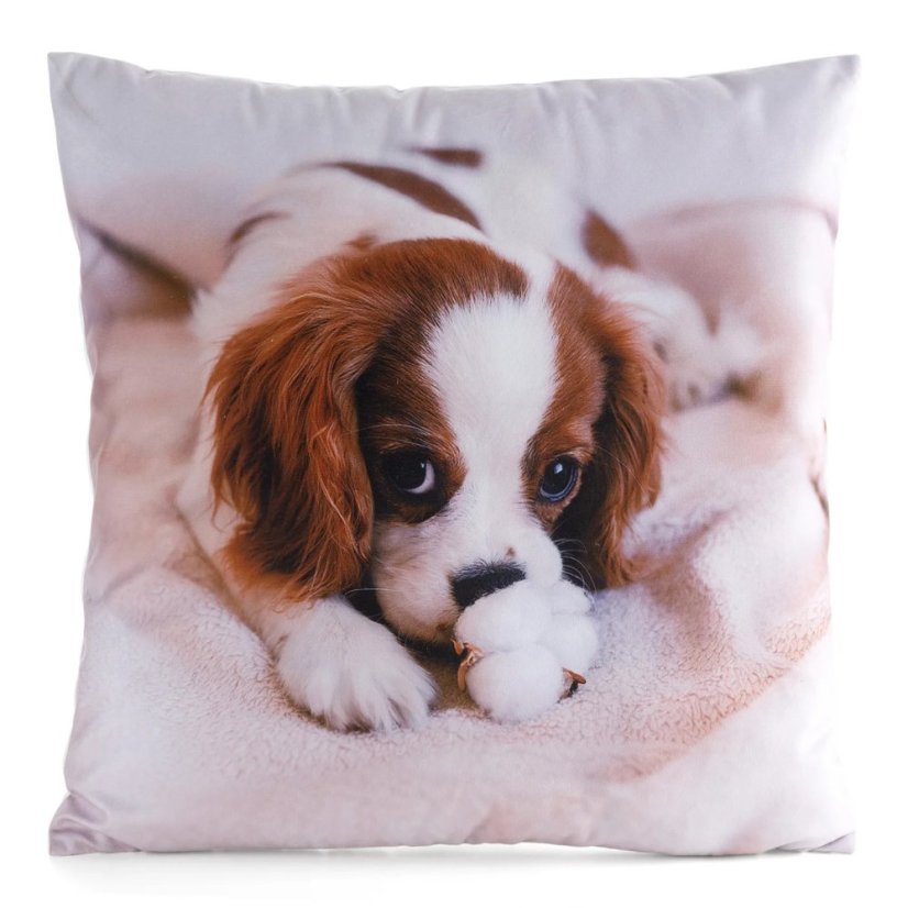 Obliečka na vankúšik Kavalier