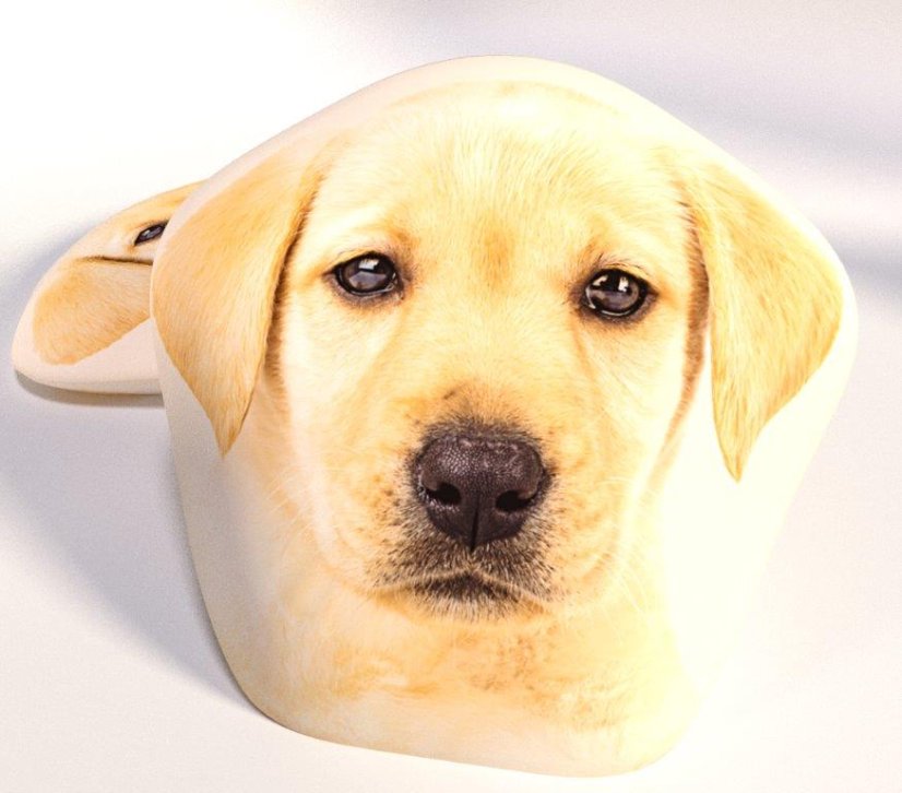 Dětský polštářek Labrador