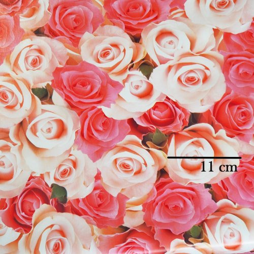 PVC ubrusovina - Květy růže