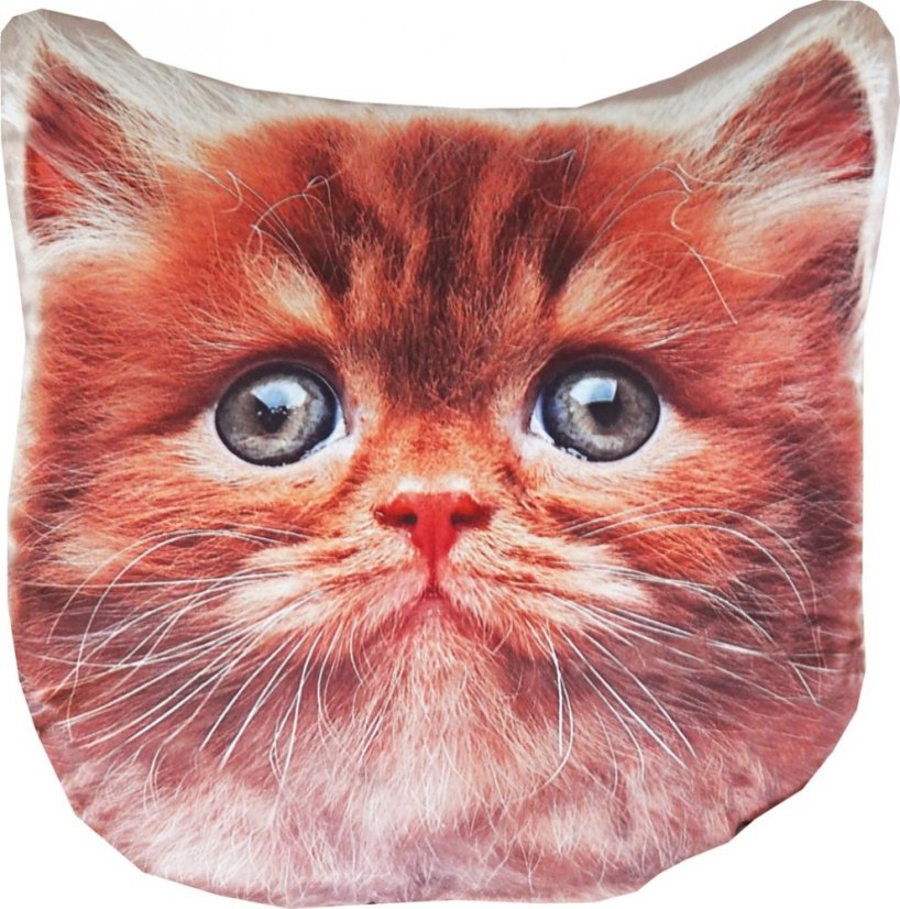 Dětský polštářek Kočička zrzka