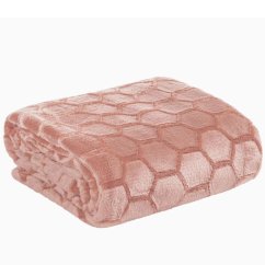 Mikroflanelová deka Zoja 2 - pudrová