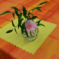 Teflonový ubrus tisk 308130-01