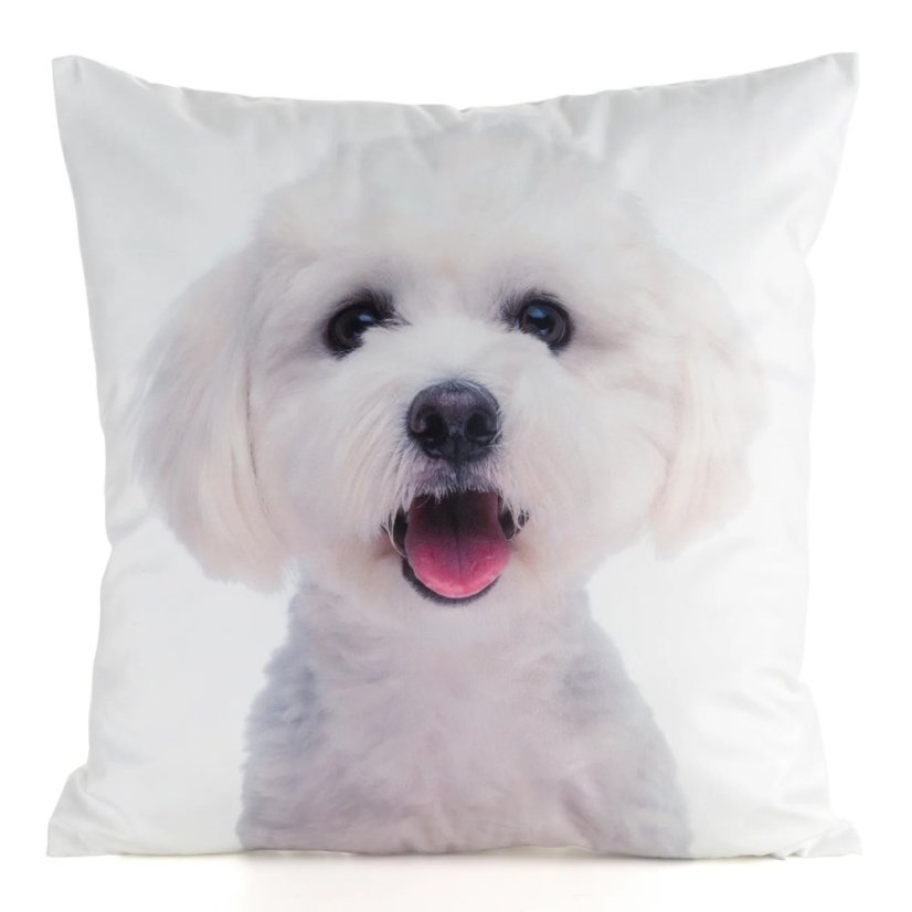 Obliečka na vankúšik Maltézaček