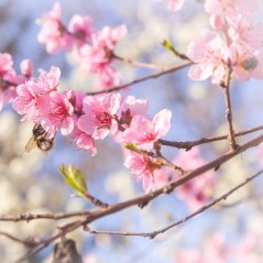 🌸Jarní a velikonoční dekorace přinášejí do vašeho domova svěžest a rozmanitost!🦋🌼