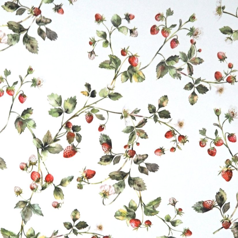 Obrusy a behúne Jahody