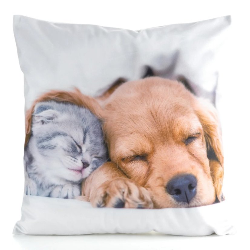 Povlak na polštářek Pejsek a kočička