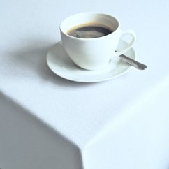 Ubrusy Gastro Atena – bílé