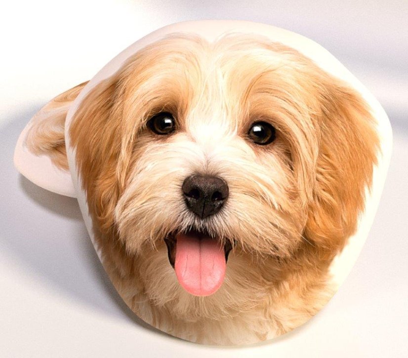 Dětský polštářek Pes