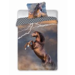 Obliečky hladká bavlna - Žrebec